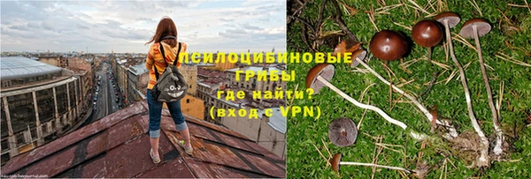 синтетический гашиш Гусиноозёрск