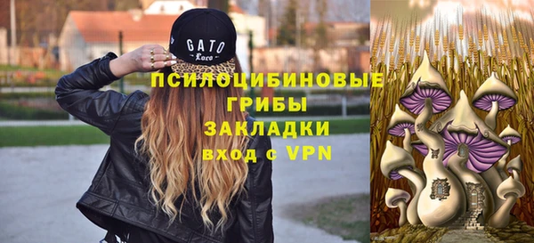 МДМА Дмитриев