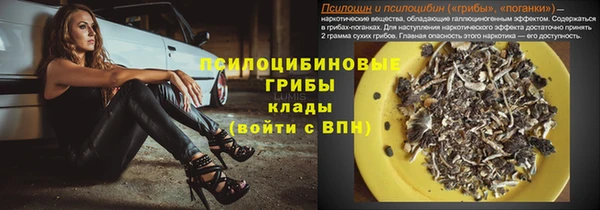 герыч Гусь-Хрустальный